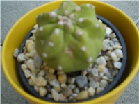bab28332-Picture 273.jpg